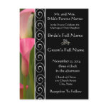 Beautiful Elegant Pink Cala Lily Invitation postcards