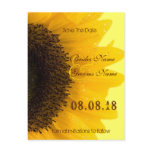 Beautiful Elegant Sunflower Wedding Invitation