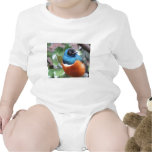 Beautiful Exotic Bird Perched