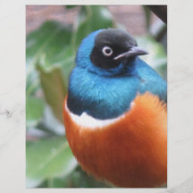 Beautiful Exotic Bird Perched Personalized Flyer