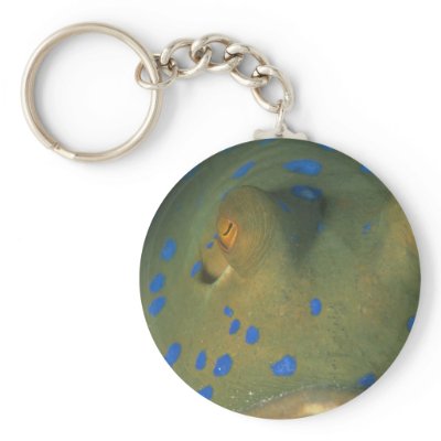 Beautiful Eyes of a blue spot stingray Keychain by inspirelove