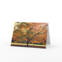 Beautiful Fall Tree Greeting Cards