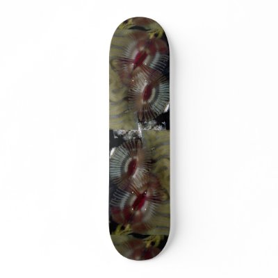 Beautiful Fan worms adorn a Caribbean coral reef Skate Board Decks by inspirelove