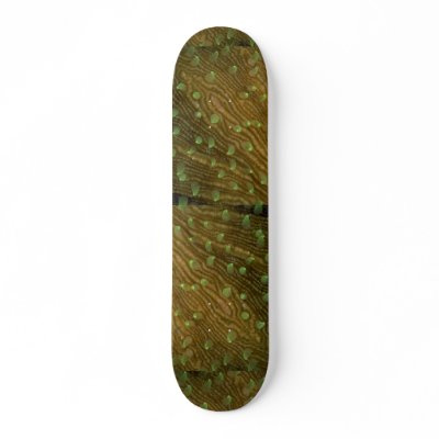 Beautiful Feeding polyps of a mushroom coral Skate Board by inspirelove