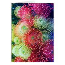 BEAUTIFUL FIREWORKS FLOWER ASSORTMENT CARD