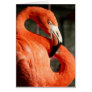 Beautiful Flamingo Card