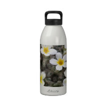 BEAUTIFUL FLORAL REUSABLE WATER BOTTLES