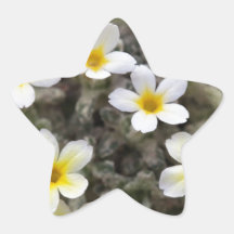 BEAUTIFUL FLORAL STAR STICKERS