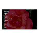 Beautiful Floribunda Business Card Template
