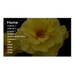 Beautiful Floribunda, yellow Business Card Template