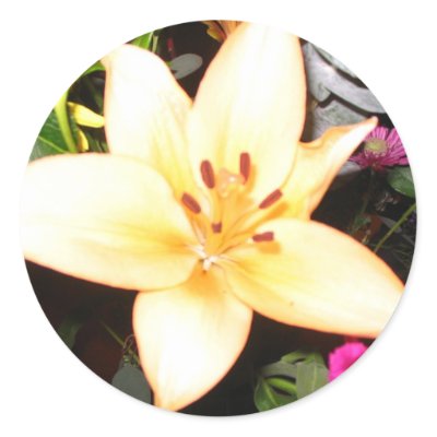 Beautiful flower sticker by Abiudzazzle