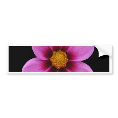 Beautiful flowers by BurchellDesign