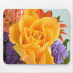 Beautiful Flowers