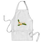 Beautiful frangipani or plumeria flowers aprons