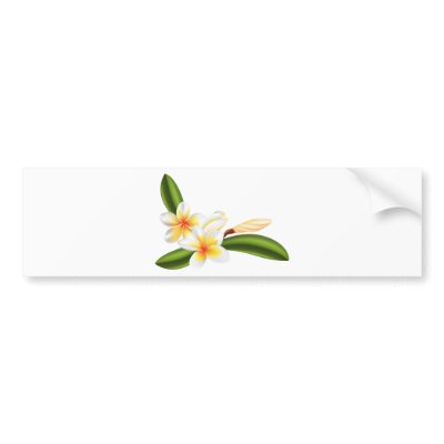 Beautiful frangipani or plumeria flowers bumper sticker by GeoDesign