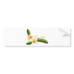 Beautiful frangipani or plumeria flowers bumper stickers