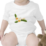 Beautiful frangipani or plumeria flowers rompers