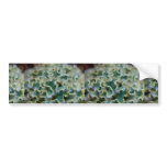 Beautiful Frilly dorsal surface of the lettuce slu Bumper Stickers