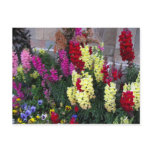 Beautiful Garden Postcard