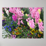Beautiful Garden Posters