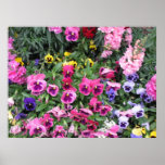 Beautiful Garden Poster