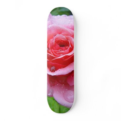 Beautiful Garden Single Wet Pink Rose Skateboard by paulbatesphoto