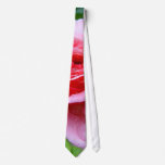 Beautiful Garden Single Wet Pink Rose Tie