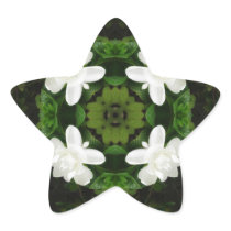 Beautiful Gardenia 5 Kaleidoscope 1 Star Stickers