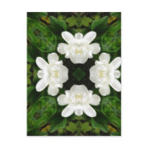 Beautiful Gardenia 5 Kaleidoscope 2 Post Card