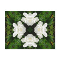 Beautiful Gardenia 5 Kaleidoscope 2 Postcard