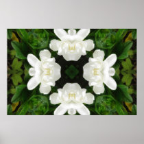 Beautiful Gardenia 5 Kaleidoscope 2 Print