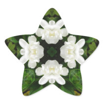 Beautiful Gardenia 5 Kaleidoscope 2 Star Stickers