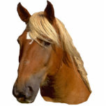 Beautiful gold mained horse sculpture photo sculptures