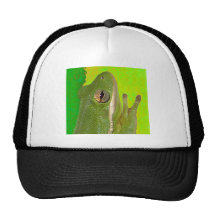 Beautiful green tree frog giviing the peace sign. hats