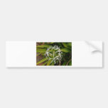 Beautiful Hawaiian flower photo Bumper Sticker