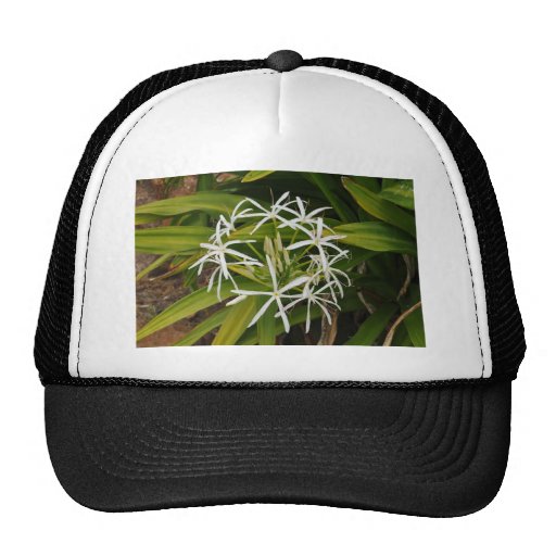 Beautiful Hawaiian flower photo Hat