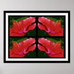 Beautiful Hibiscus Times Four Posters