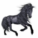 ♥ Beautiful Horse ♥ (Design F) photo sculptures