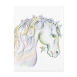 Beautiful Horse