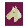 Beautiful Horse Postcard