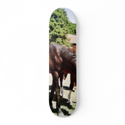 Beautiful Horse Skateboard Deck by lifesphere