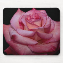 Beautiful Hybrid Tea Rose 'Sheer Elegance' Mousepad