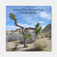 Beautiful Joshua Tree Magnet!