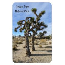 Beautiful Joshua Tree Premium Magnet!