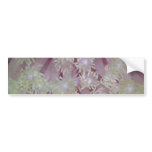 Beautiful Lavender coral polyps from the Red Sea bumper stickers