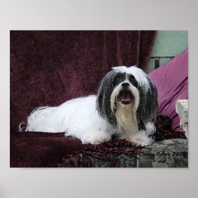 Beautiful Lhasa Apso Ginger Print by luvmytzus