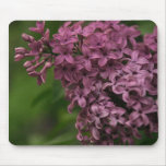 Beautiful Lilac Mousepad!