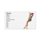 Beautiful Long Stem Red Roses In Hand business cards
