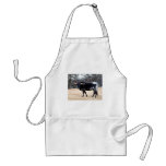 Beautiful Longhorn aprons
