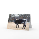 Beautiful Longhorn Card